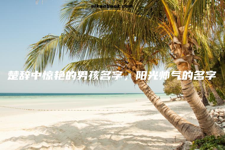 楚辞中惊艳的男孩名字，阳光帅气的名字