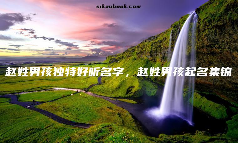 赵姓男孩独特好听名字，赵姓男孩起名集锦