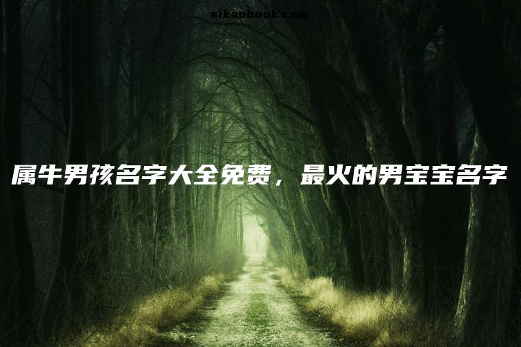 属牛男孩名字大全免费，最火的男宝宝名字