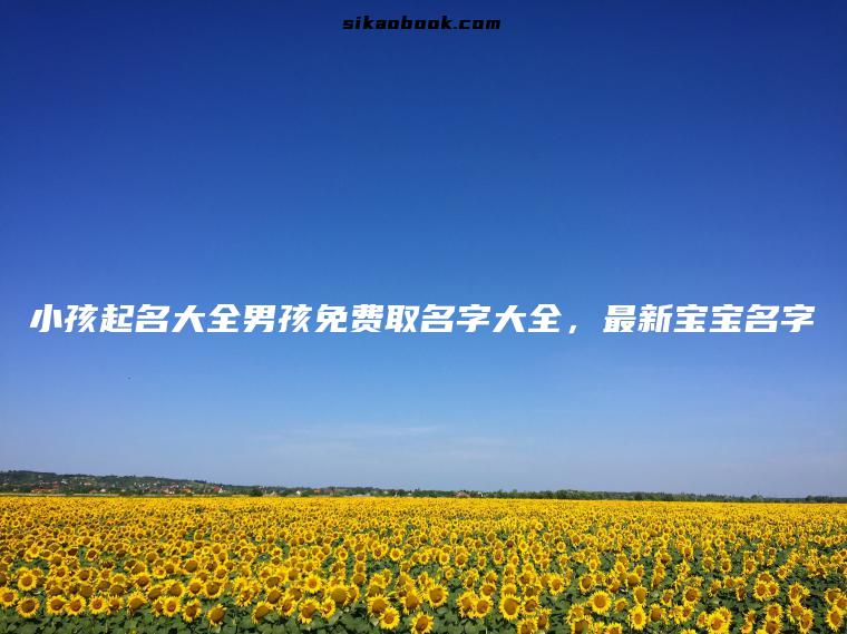 小孩起名大全男孩免费取名字大全，最新宝宝名字