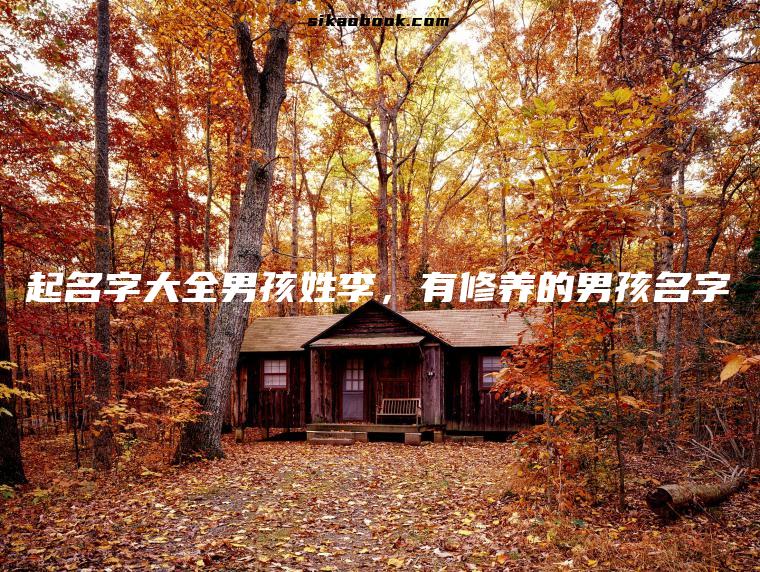 起名字大全男孩姓李，有修养的男孩名字
