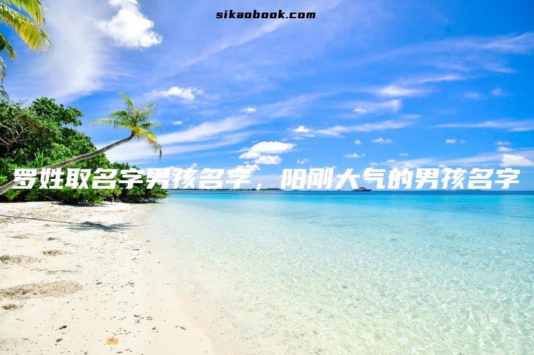 罗姓取名字男孩名字，阳刚大气的男孩名字