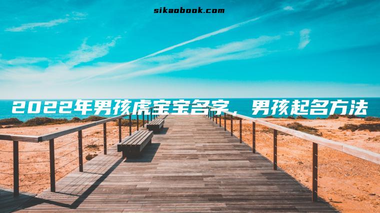 2022年男孩虎宝宝名字，男孩起名方法