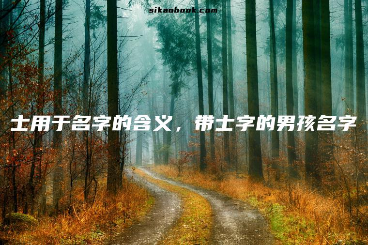 士用于名字的含义，带士字的男孩名字