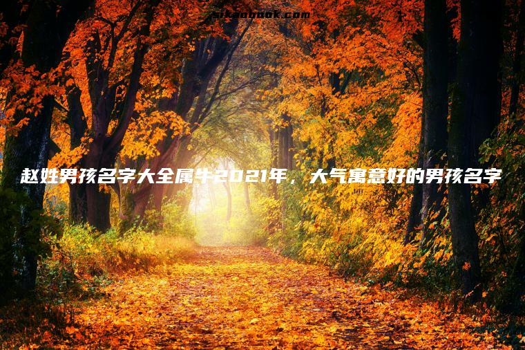 赵姓男孩名字大全属牛2021年，大气寓意好的男孩名字