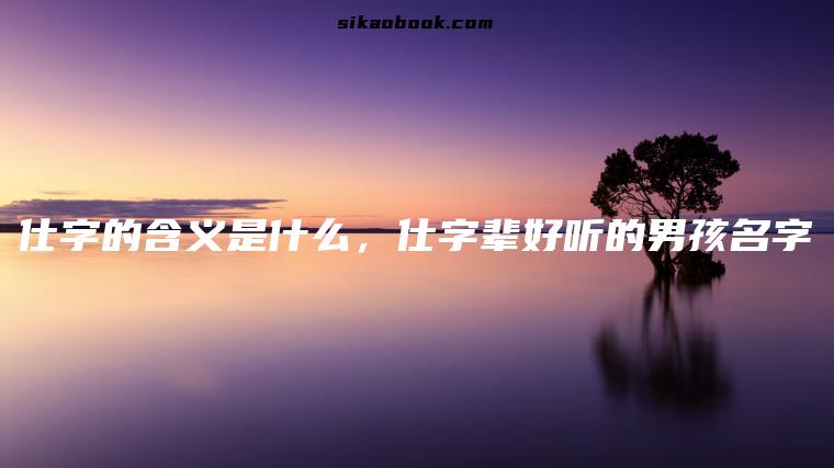仕字的含义是什么，仕字辈好听的男孩名字