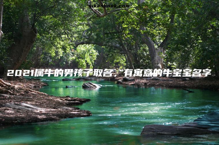2021属牛的男孩子取名，有寓意的牛宝宝名字