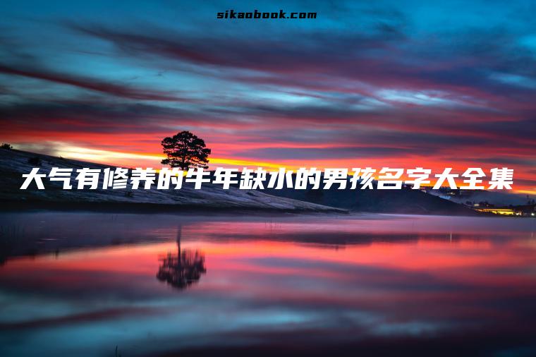 大气有修养的牛年缺水的男孩名字大全集