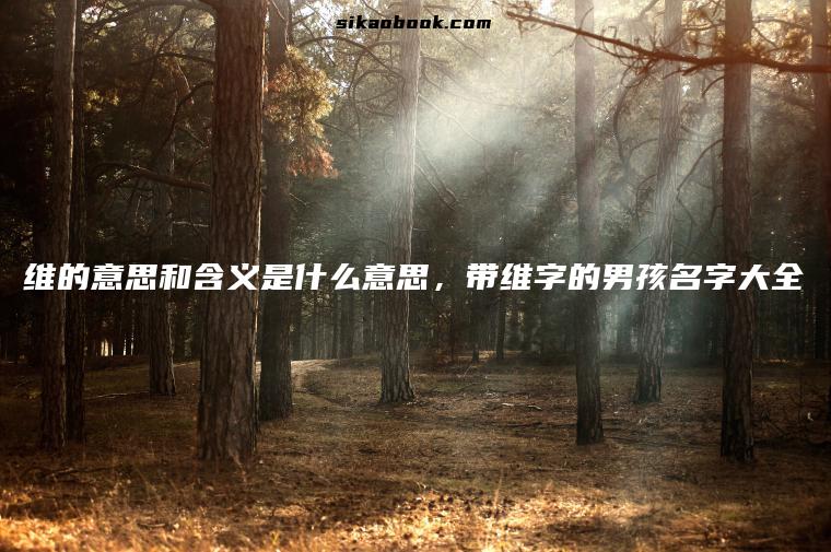 维的意思和含义是什么意思，带维字的男孩名字大全