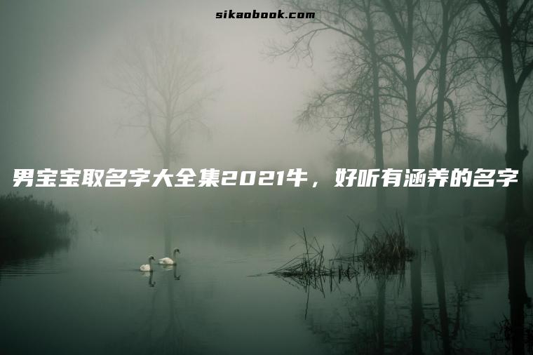 男宝宝取名字大全集2021牛，好听有涵养的名字