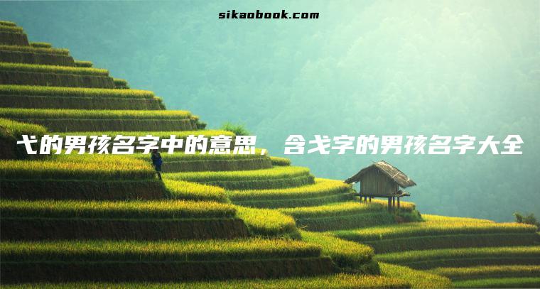 弋的男孩名字中的意思，含戈字的男孩名字大全