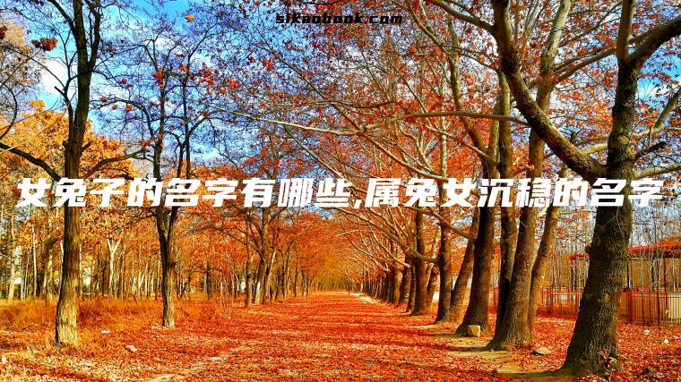 女兔子的名字有哪些,属兔女沉稳的名字