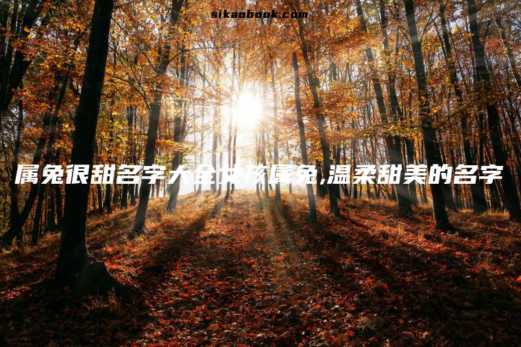属兔很甜名字大全女孩属兔,温柔甜美的名字
