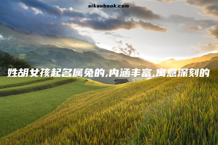 姓胡女孩起名属兔的,内涵丰富,寓意深刻的