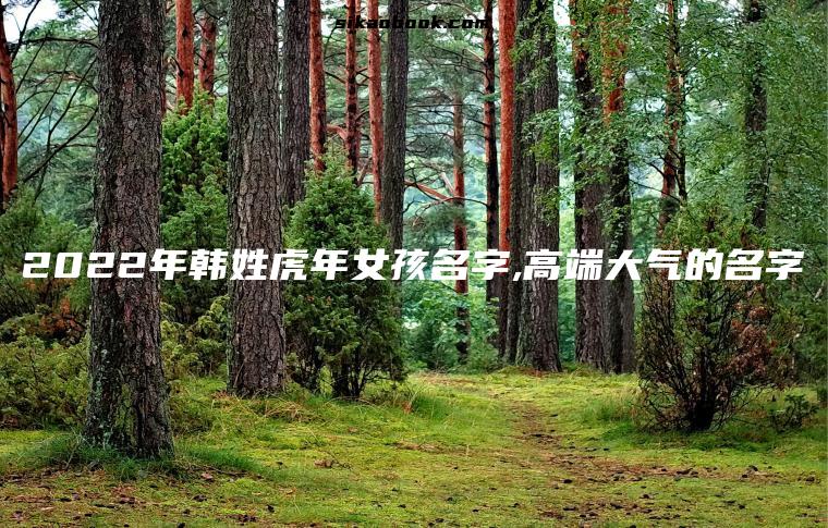 2022年韩姓虎年女孩名字,高端大气的名字