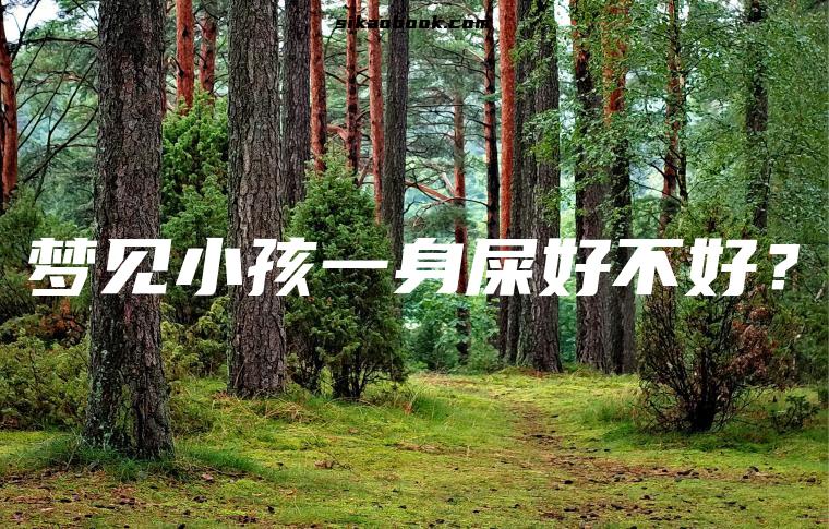 梦见小孩一身屎好不好？