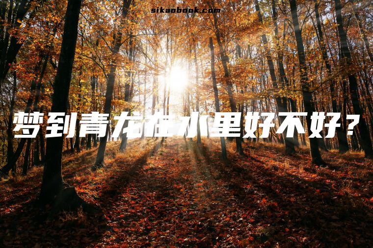 梦到青龙在水里好不好？