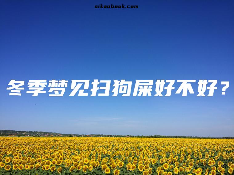 冬季梦见扫狗屎好不好？
