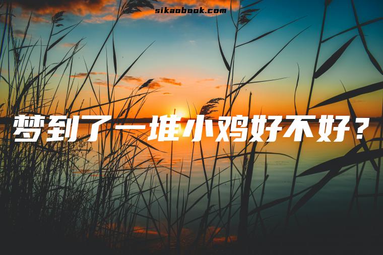 梦到了一堆小鸡好不好？