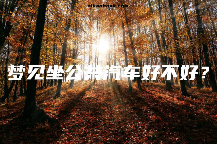 梦见坐公共汽车好不好？