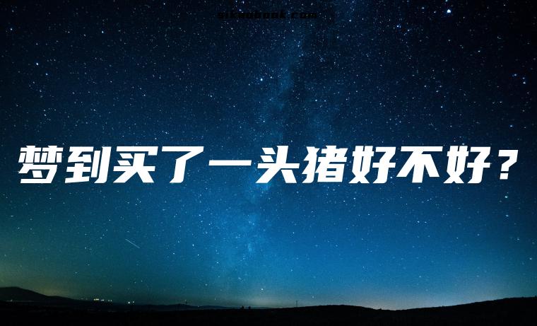 梦到买了一头猪好不好？