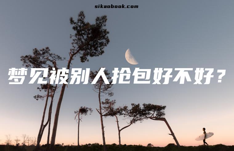 梦见被别人抢包好不好？