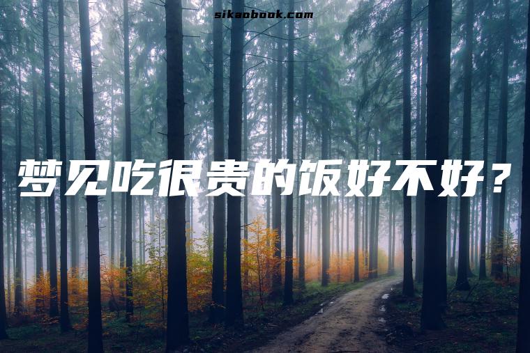梦见吃很贵的饭好不好？