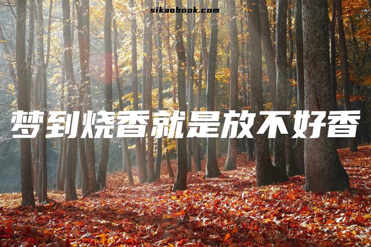 梦到烧香就是放不好香