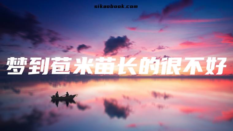 梦到苞米苗长的很不好
