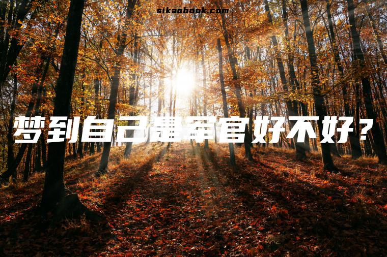 梦到自己是军官好不好？
