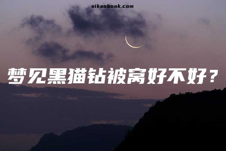 梦见黑猫钻被窝好不好？