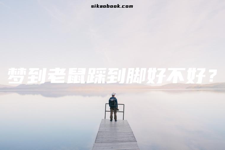 梦到老鼠踩到脚好不好？