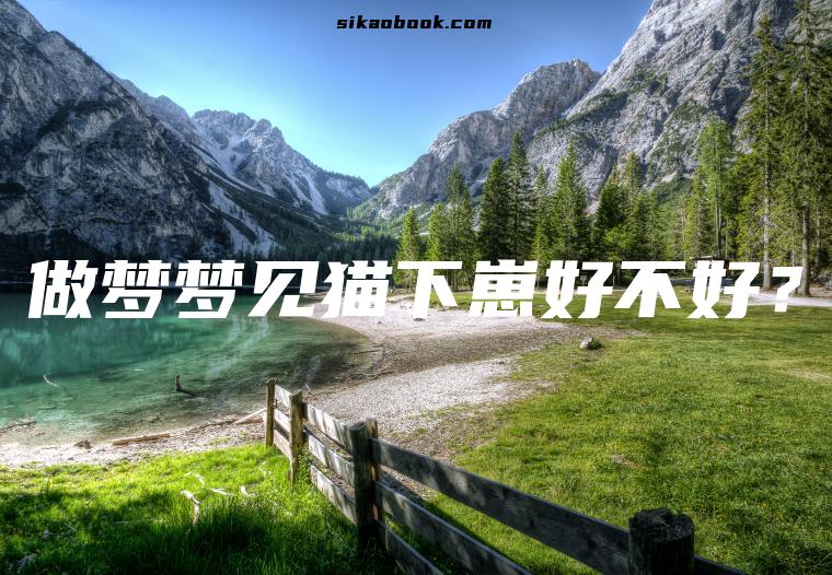 做梦梦见猫下崽好不好？