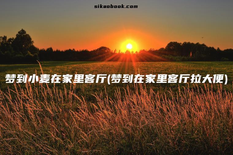 梦到小麦在家里客厅(梦到在家里客厅拉大便)