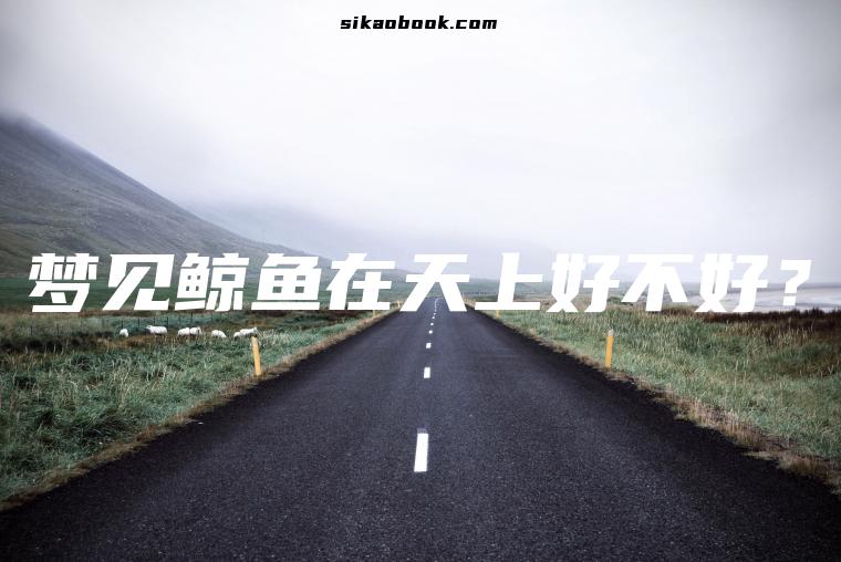 梦见鲸鱼在天上好不好？