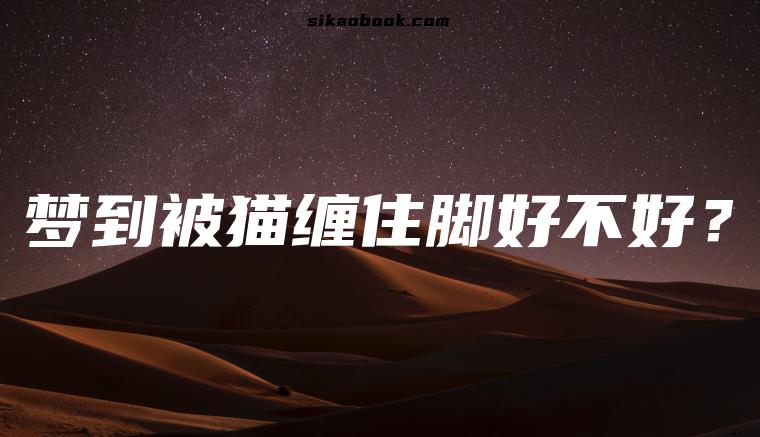 梦到被猫缠住脚好不好？