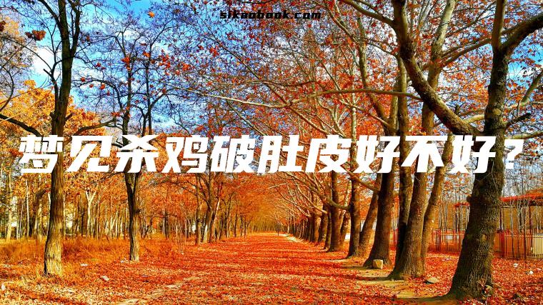 梦见杀鸡破肚皮好不好？