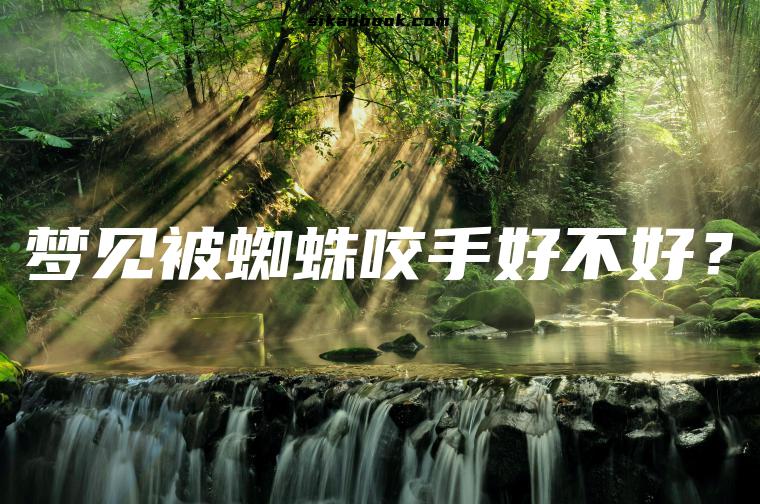 梦见被蜘蛛咬手好不好？