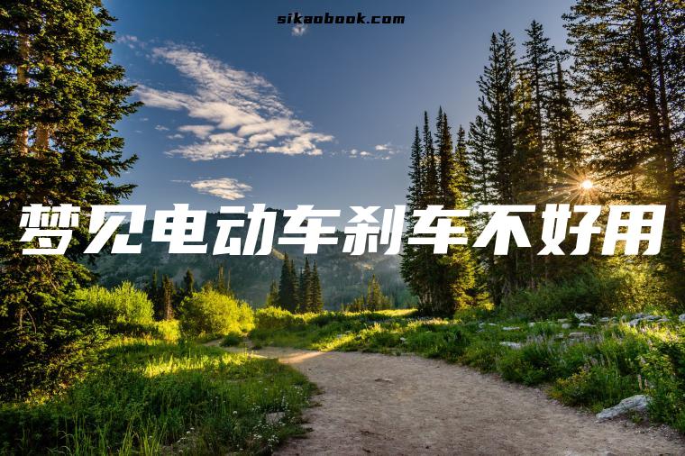 梦见电动车刹车不好用