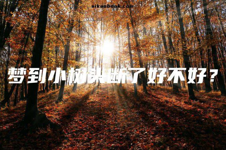 梦到小树头断了好不好？