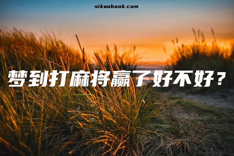 梦到打麻将赢了好不好？