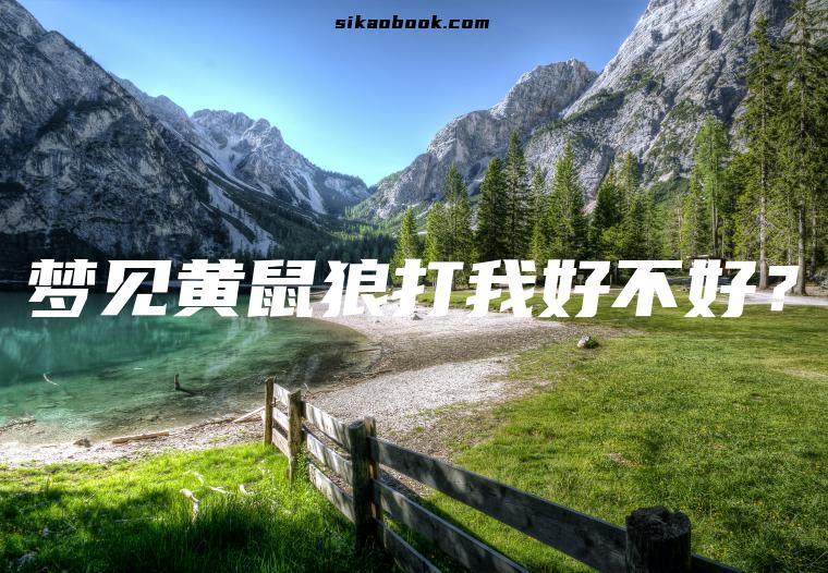 梦见黄鼠狼打我好不好？