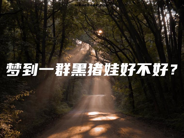 梦到一群黑猪娃好不好？