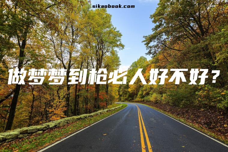 做梦梦到枪必人好不好？
