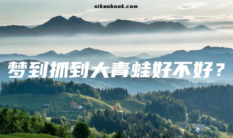 梦到抓到大青蛙好不好？