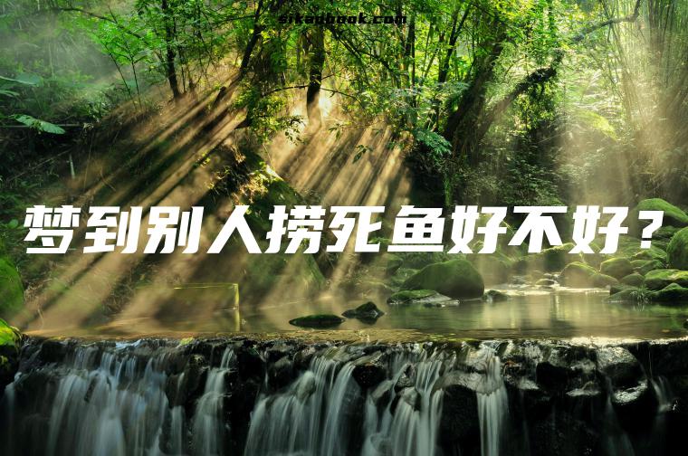 梦到别人捞死鱼好不好？
