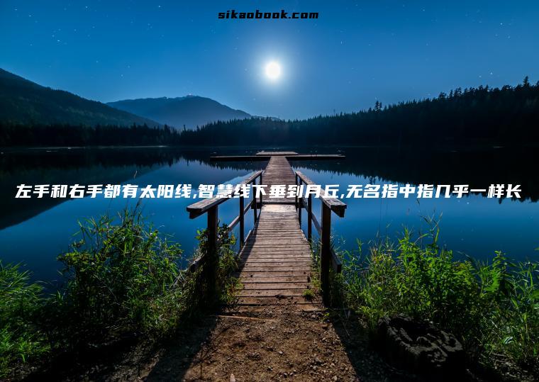 左手和右手都有太阳线,智慧线下垂到月丘,无名指中指几乎一样长
