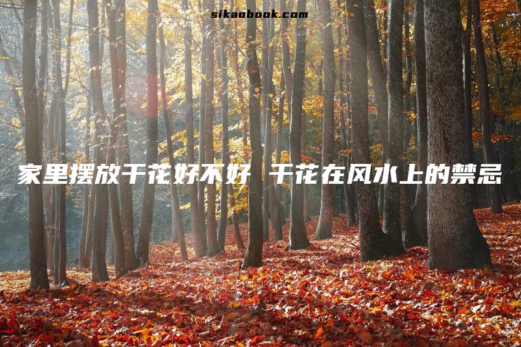 家里摆放干花好不好 干花在风水上的禁忌