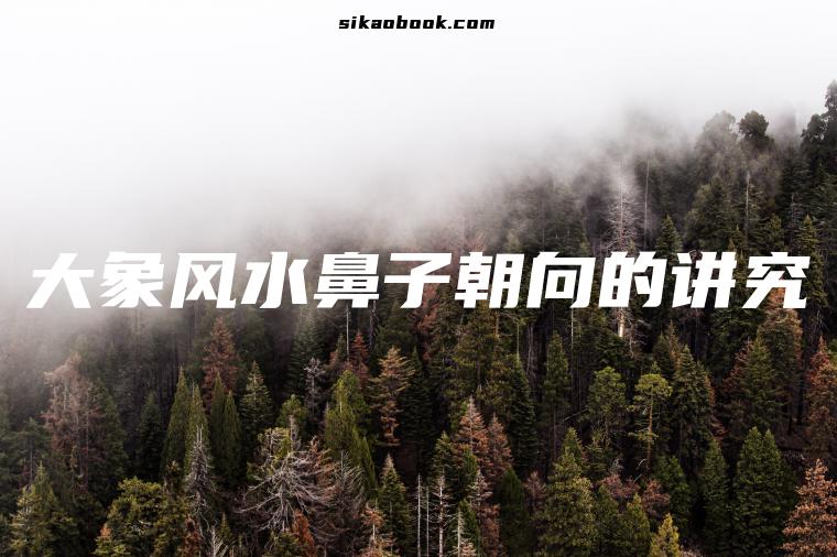 大象风水鼻子朝向的讲究
