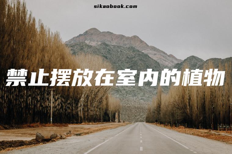 禁止摆放在室内的植物
